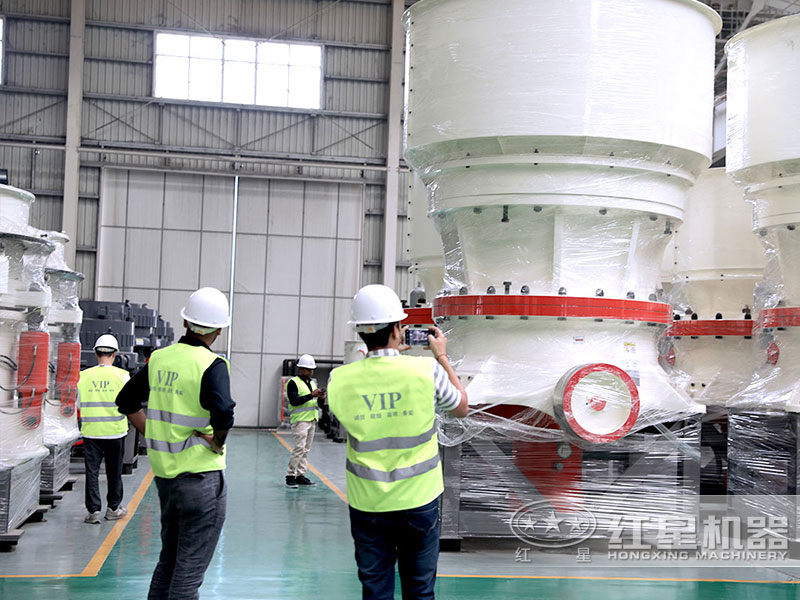 制沙碎石機(jī)-紅星機(jī)器廠家客戶(hù)考察